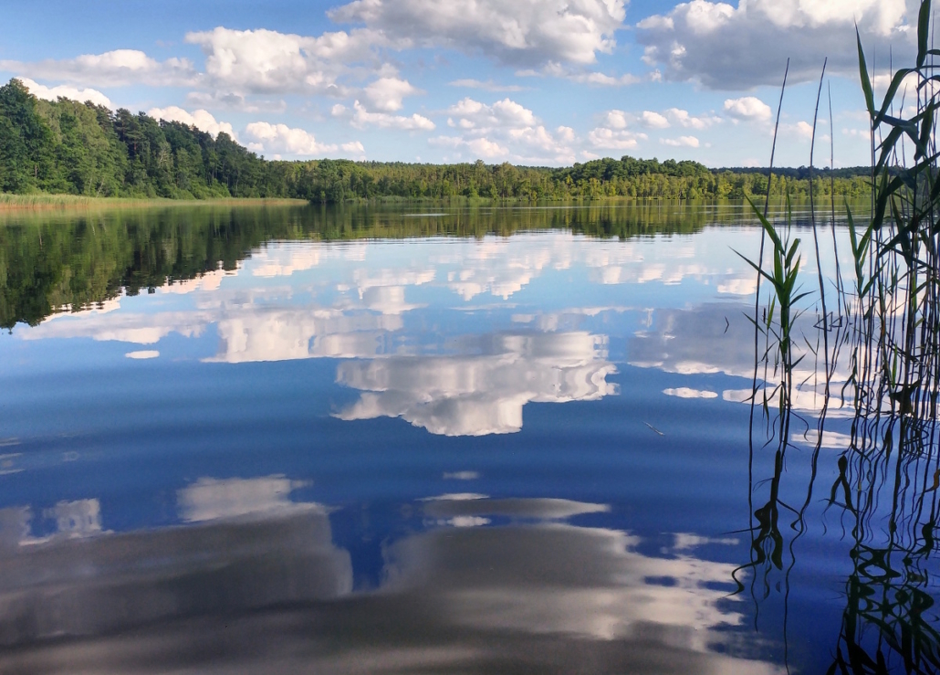 baalsee1